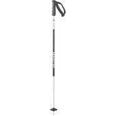 Salomon Polar Junior Poles Argenté 90 cm Enfants