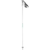 Kästle Mogul Ca Uncut Poles Argenté 95 cm