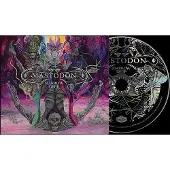 Universal Music Marrow Deep Édition Limitée