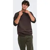 Only & Sons Sweat-shirt 'ONSCERES' brun foncé
