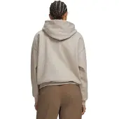 Under Armour Sweat à Capuche Icon Fleece