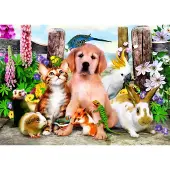 Bluebird Puzzle Casse-tête Good Companions - 500 Teile bunt