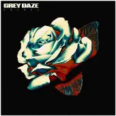 Universal Music Grey Daze - Amends Lp