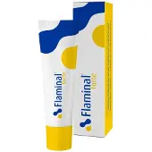 Flen Health GmbH Forte (40 grammes)