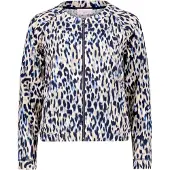 Betty Barclay Cardigan bleu foncé / mélange de couleurs