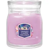 Yankee candle Summit Stargazing bougie parfumée Signature 368 g