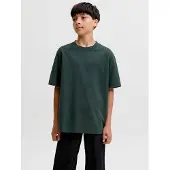 Jack & Jones Junior T-Shirt 'JJEBARRON' vert foncé
