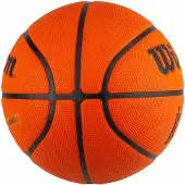Wilson 6