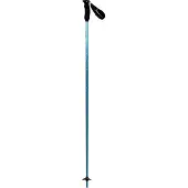 Atomic Revent Carbon Lite Poles Argenté 110 cm