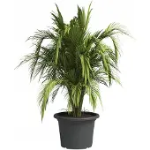 Artevasi Pot De Fleurs Venezia Cilindro - 50 Cm - Gris Anthracite