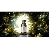 Alqvimia Huile Corporelle Raffermissante 150ml