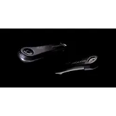 Praxis Brose/fazua Carbon Isis/spline Crank Argenté 165 mm