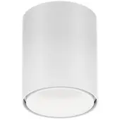 Wever & Ducre Ray Mini LED 1.0 Plafonnier White Matt | 3000 K
