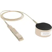Sympl Releash 7' Pro Vergara, cordon de leash pour surf, couleur beige, taille unique
