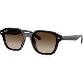 Ray-Ban RB4458D - Carre Brun Transparent