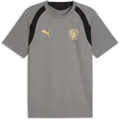 Puma Maillot Manchester City