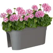 Artevasi Vase Artevasi Anthracite 30 x 60 x 27 cm