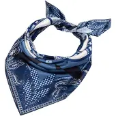 Roeckl Foulard mélange de couleurs