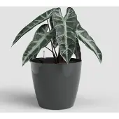 Artevasi San Remo Pot Sws Anthracite 2 Pièce(S)