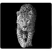 Kesper Glasschneideplatte Leopa.56x50, Planche à découper, Noir