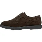 Geox Baskets Spherica Ec17
