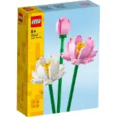 LEGO Iconic 40647 Les fleurs de lotus