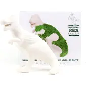 Mags Chia Saurus - Décoration intérieure (Pousses)