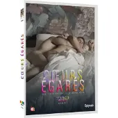 OptiMALE Cœurs égarés (Stranger Hearts) Saison 1 DVD