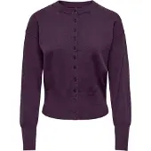 ONLY Cardigan 'ONLMio' aubergine