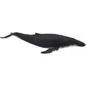 MOJO Bultrug Mojo Sealife - 387119