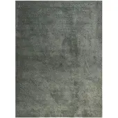 De Onlinewinkelier b.v. Volero - Tapis lavable - Vert propre | Pour tout intérieur - 80x150cm