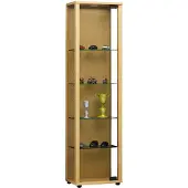 VCM Bois verre vitrine de collection vitrine de verre vitrine stand vitrine Edana Mini Bois verre vitrine de collection vitrine de verre vitrine stand vitrine Edana Mini