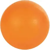 Trixie Grosse Balle Dure Caoutchouc 85 Mm