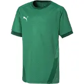 Puma Garçons, T-shirt de sport, teamGOAL 23 Jersey jr-704160 (128), Vert, 128