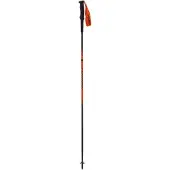 Dynafit Bâtons Alpine