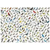 Eurographics Puzzle Le Monde des Oiseaux - 1000 pièces
