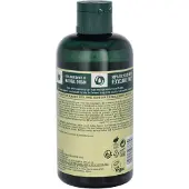The Body Shop Moringa gel douche 250ml