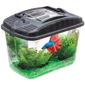 Aquael Betta Kit : Ensemble pour poissons combattants (Betta)