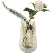 PT Living Luster Organic Large (14.28 l)
