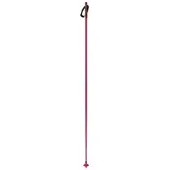 Fischer Storm Gtx S Poles Clair 170 cm