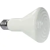 Ferplast Ampoule En Céramique 100w