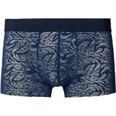 Hom Boxer court