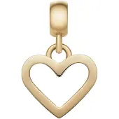 Daniel Wellington Cur en acier plaqué or Charms DW00400433