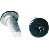 Nzi Vital/must Ii Helmet Screen Screws Argenté