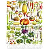 New York Puzzle Company - Puzzle « Légumes » - Illustration vintage - 1 000 pièces