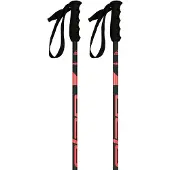 Elan Bâtons Speedrod W