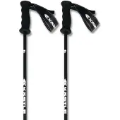 Kästle Legendary Ca Poles Argenté 120 cm