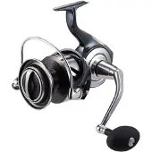 Daiwa Moulinet Certate SW 10000-P