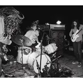 Import Live in san francisco