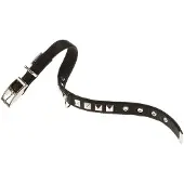 Ferplast Collier De Chien Dual 15 Mm 35 Cm